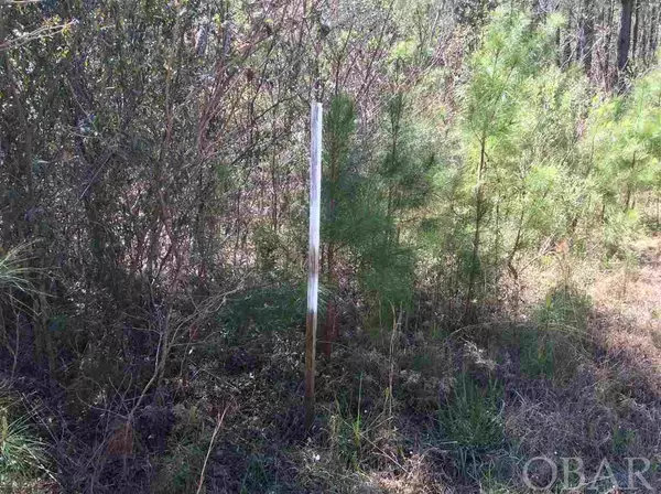 Grandy, NC 27939-9999,136-154 Summer Woods Road #Lot# TBD