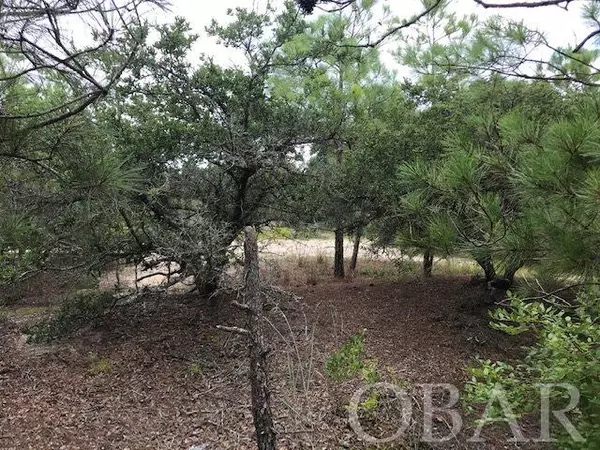 Corolla, NC 27927,513 Canary Lane #Lot 30