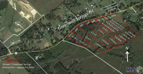 Greenwell Springs, LA 70739,A2A3 GREENWELL SPRINGS RD