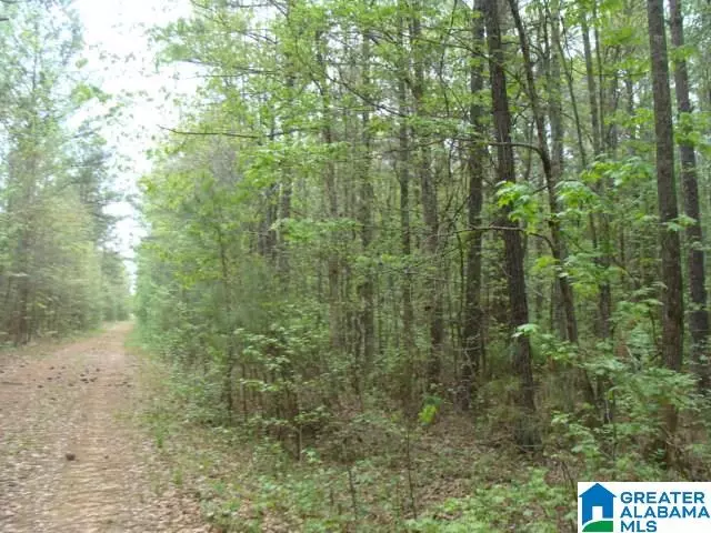 00 BLACKBERRY RIDGE ROAD #50, Vance, AL 35490