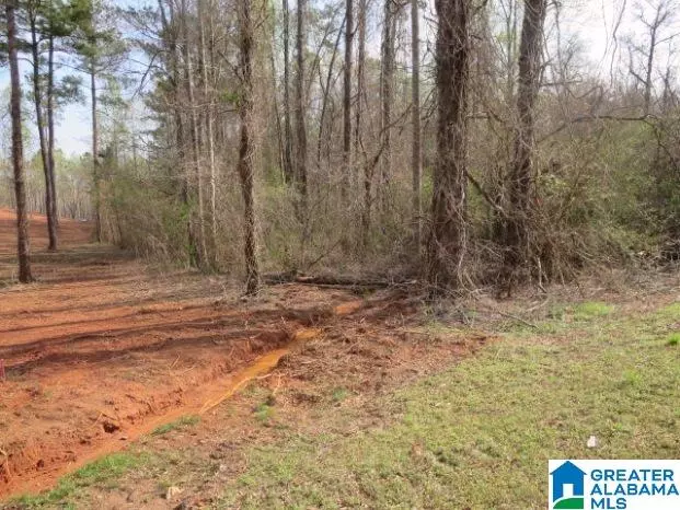 CO RD 5 #5 acres, Ashland, AL 36251