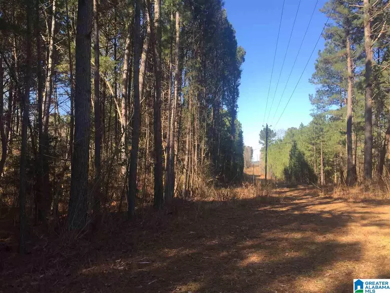 8095 FISHING CAMP RD #036.001, Mulga, AL 35118