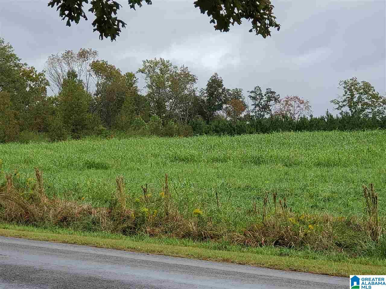 1625 CO RD 25 #2, Bremen, AL 35033
