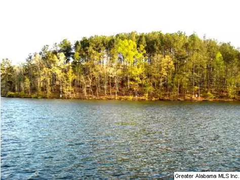 Wedowee, AL 36278,Lot 5 SUGARBERRY DRIVE #Lot 5