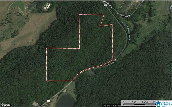 SUMATANGA RD #128+/- Ac - North Portion of Sumatanga Rd, Gallant, AL 35972