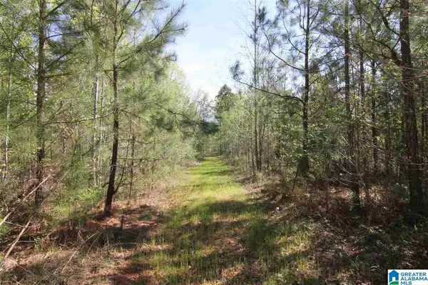 Daviston, AL 36256,HWY 22 #77