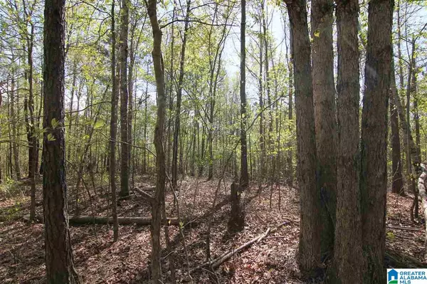 Daviston, AL 36256,HWY 22 #77