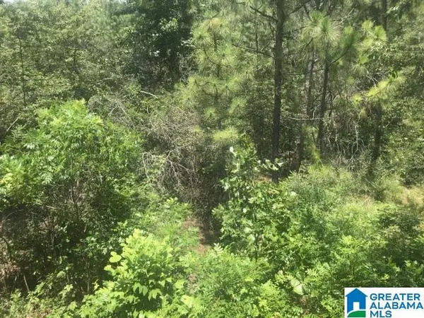 Lot 43 PAWNEE RD #1, Springville, AL 35146