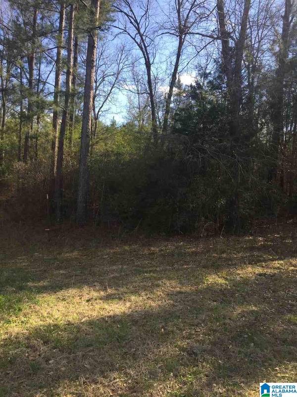 COUNTY ROAD 2 #8, Brierfield, AL 35035