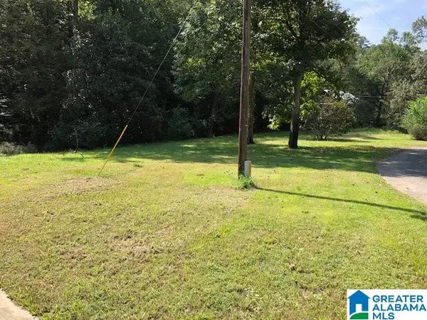 132 SLOUGHSIDE DR #2.7 ACRES, Adger, AL 35006