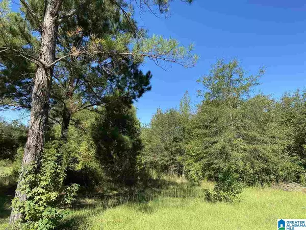 Stanton, AL 36750,375 CO RD 317 #1 Parcel