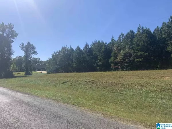 Boaz, AL 35956,0 MOUNTAINBORO ROAD #0