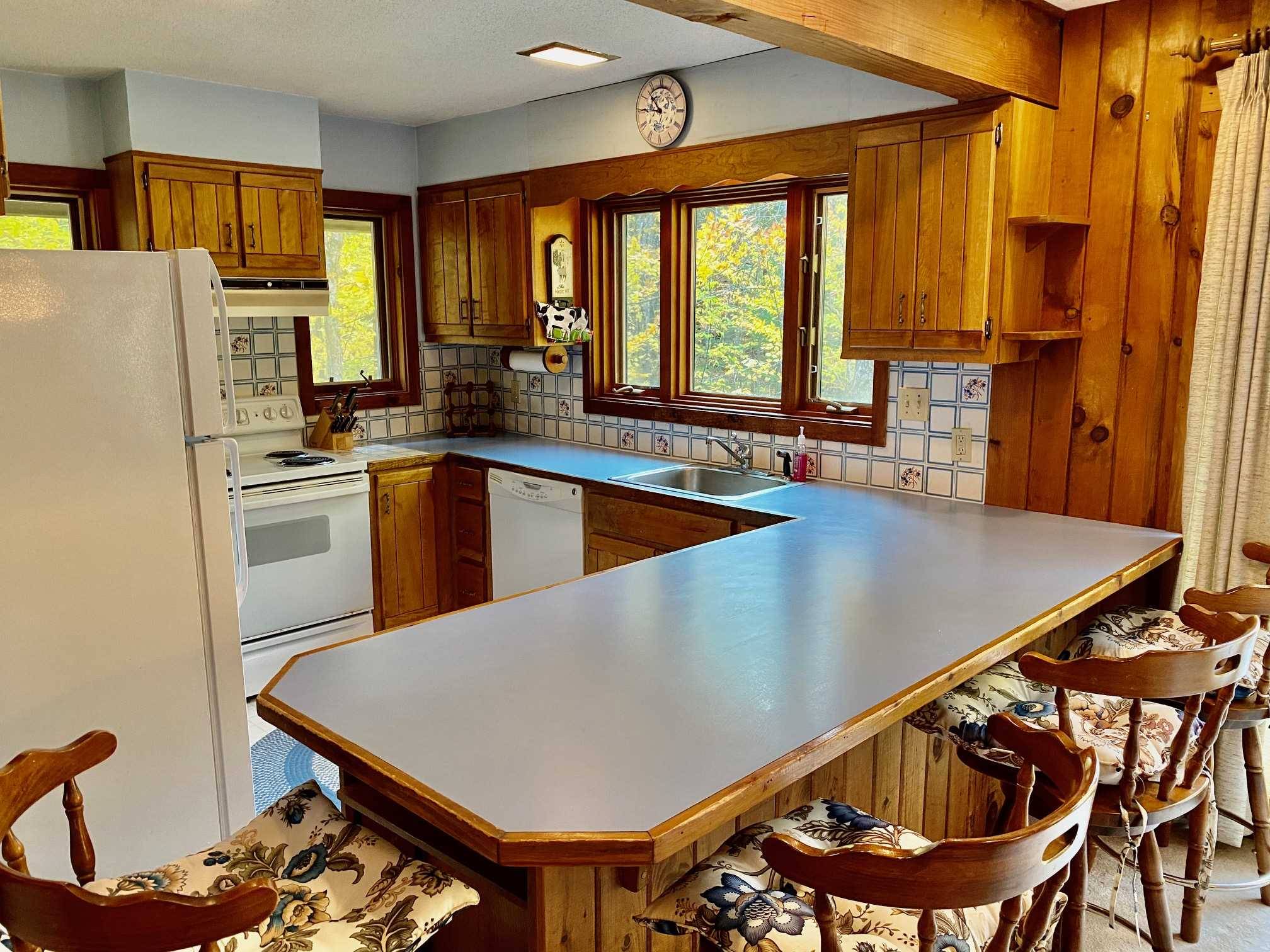 Londonderry, VT 05148,89 Birch RD #51