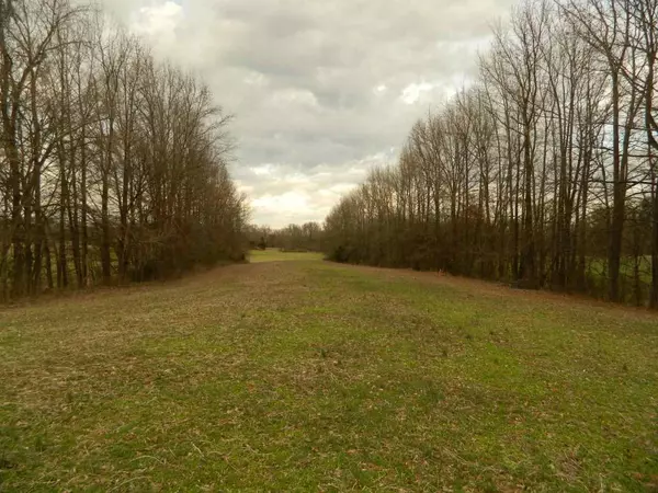 Munford, TN 38058-0000,LOT 5 MARSHALL RD