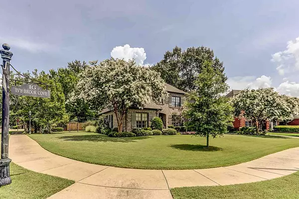 Collierville, TN 38017,146 IVY BROOK CV