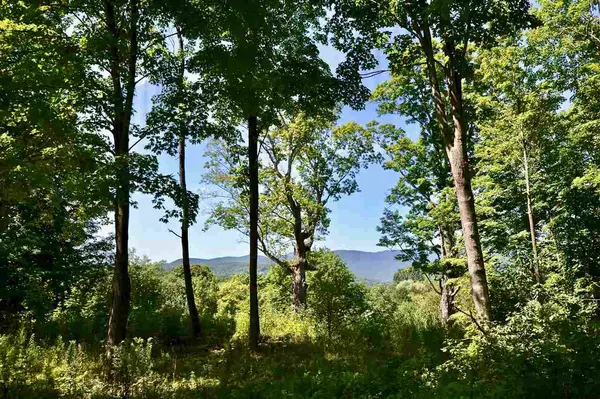 Waterbury, VT 05677,Lot 7 Guptil RD #7