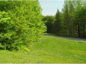 Address Not Disclosed