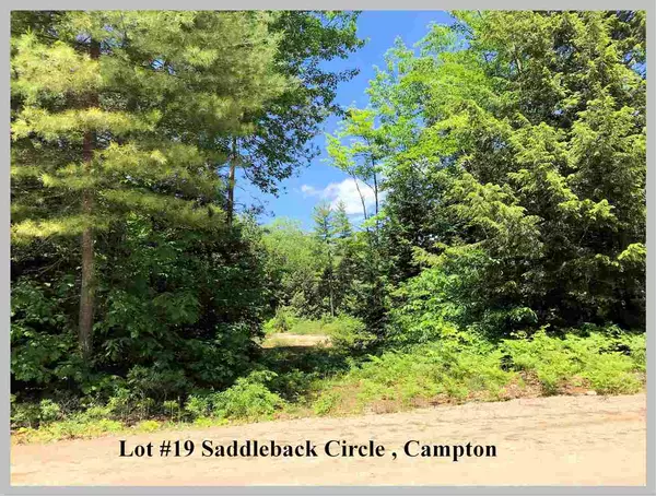 Lot #19 Saddleback CIR, Campton, NH 03223