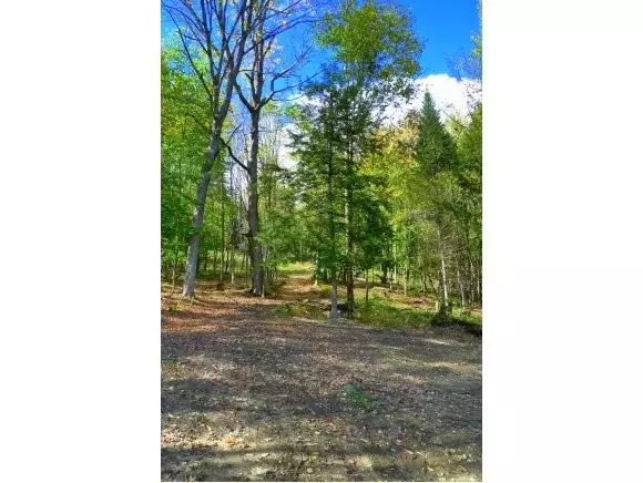 Morristown, VT 05661,Moose Run LN #6