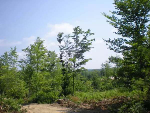 Tuftonboro, NH 03816,Lot 22 Deer Path LN #Lot 22