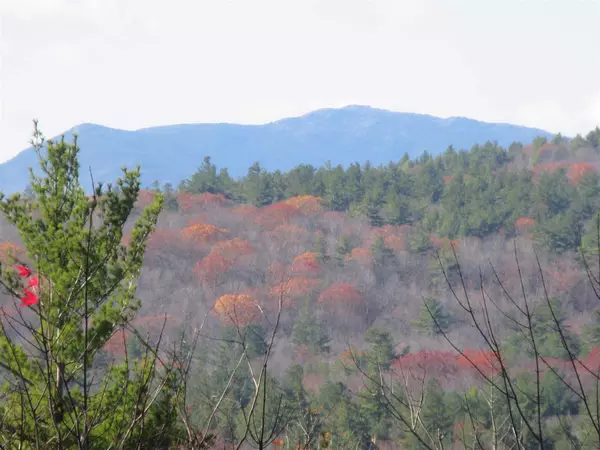 Hancock, NH 03449,30 Ledge RD