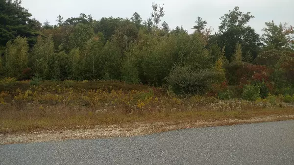 Wilton, NH 03086,35-10 Carriage Hill RD