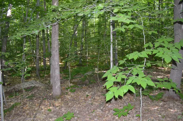 Wolfeboro, NH 03894,3 Brown RD #Lot 3