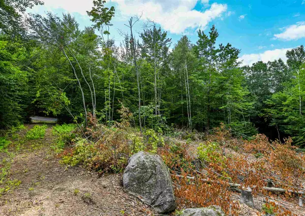 Thornton, NH 03285,Diamond Ledge RD #Lot 29