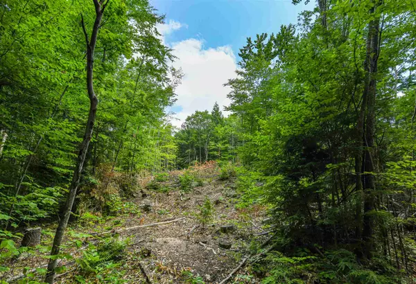 Thornton, NH 03285,Diamond Ledge RD #Lot 29