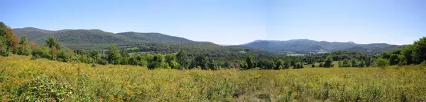 Pawlet, VT 05761,710 Herrick Brook RD