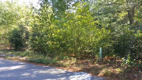 Bristol, NH 03222,Lot 44 Maple Grove LN