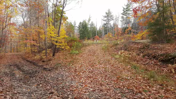 Lot 8-4-1 Chandler Hill RD, Campton, NH 03223