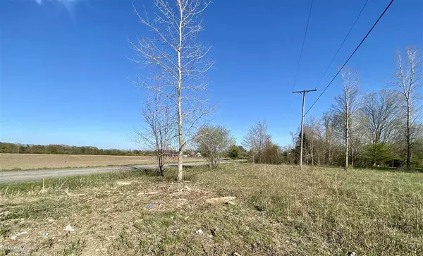 Lenox, MI 48050,0 Omo