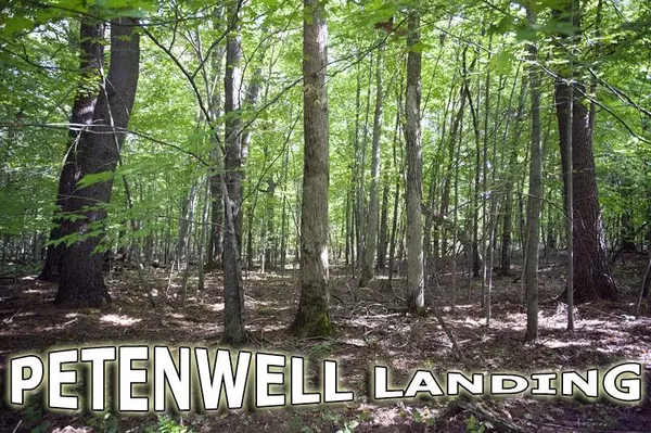 Lot 19 Petenwell Landing, Arkdale, WI 54613