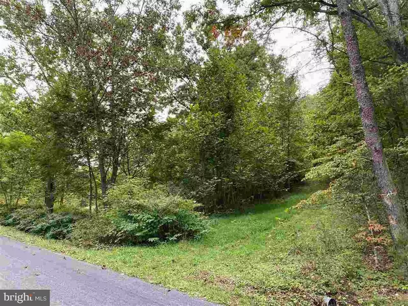 0 HOLLOW RUN RD, Luray, VA 22835