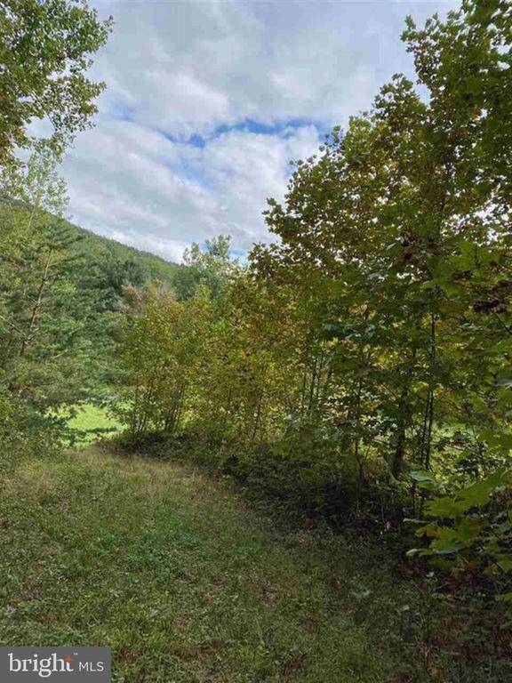 Luray, VA 22835,0 HOLLOW RUN RD