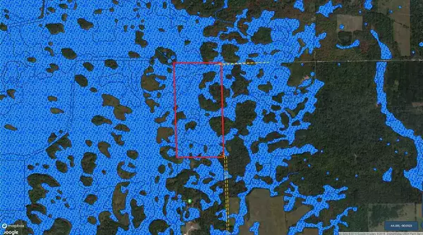 Nekoosa, WI 54457,80 AC W Lynn Hill Rd