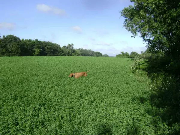 Pardeeville, WI 53954,40.37 Acres Barden Rd