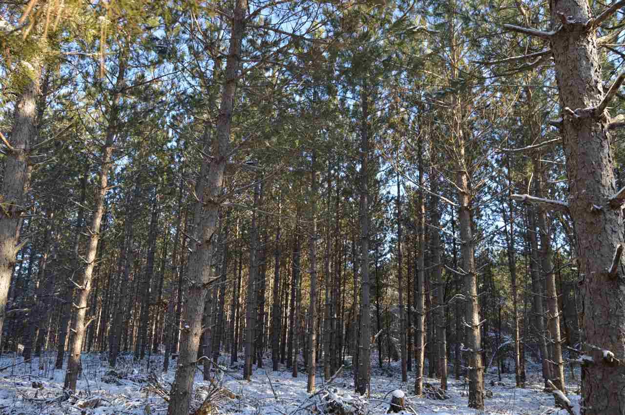 40 AC 7th Ave, Necedah, WI 54646