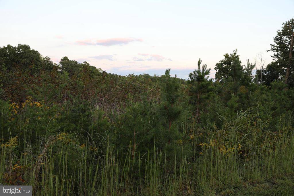 Culpeper, VA 22701,LOT 26 MANCHESTER
