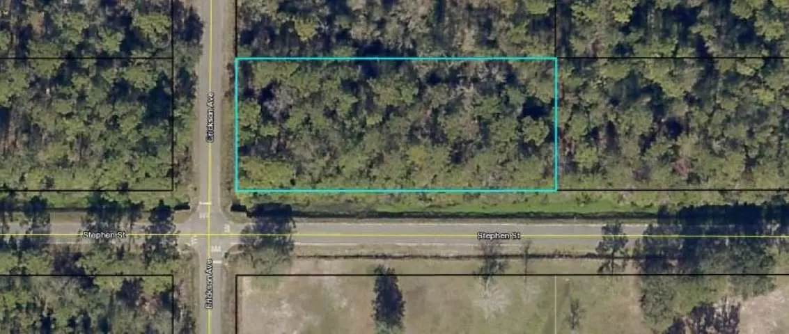 10170 Erickson Ave., Hastings, FL 32145