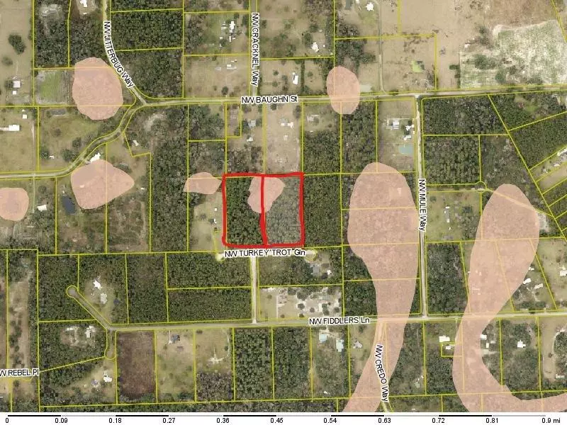 TBD Turkey Trot Ln, Lake City, FL 32055