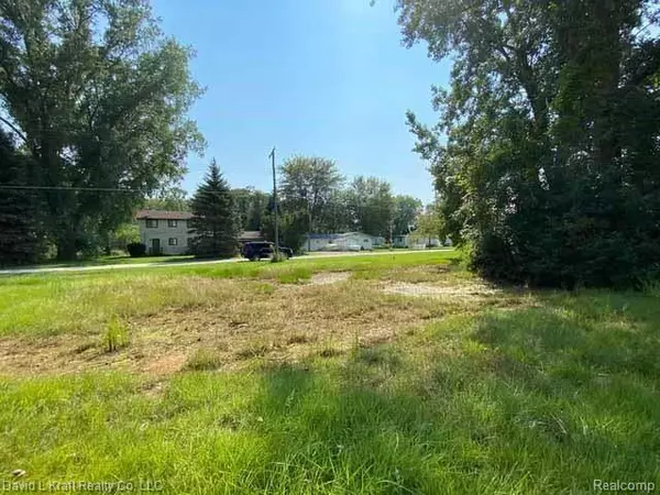 Mckinley Twp, MI 48755,8326 Rowe DR