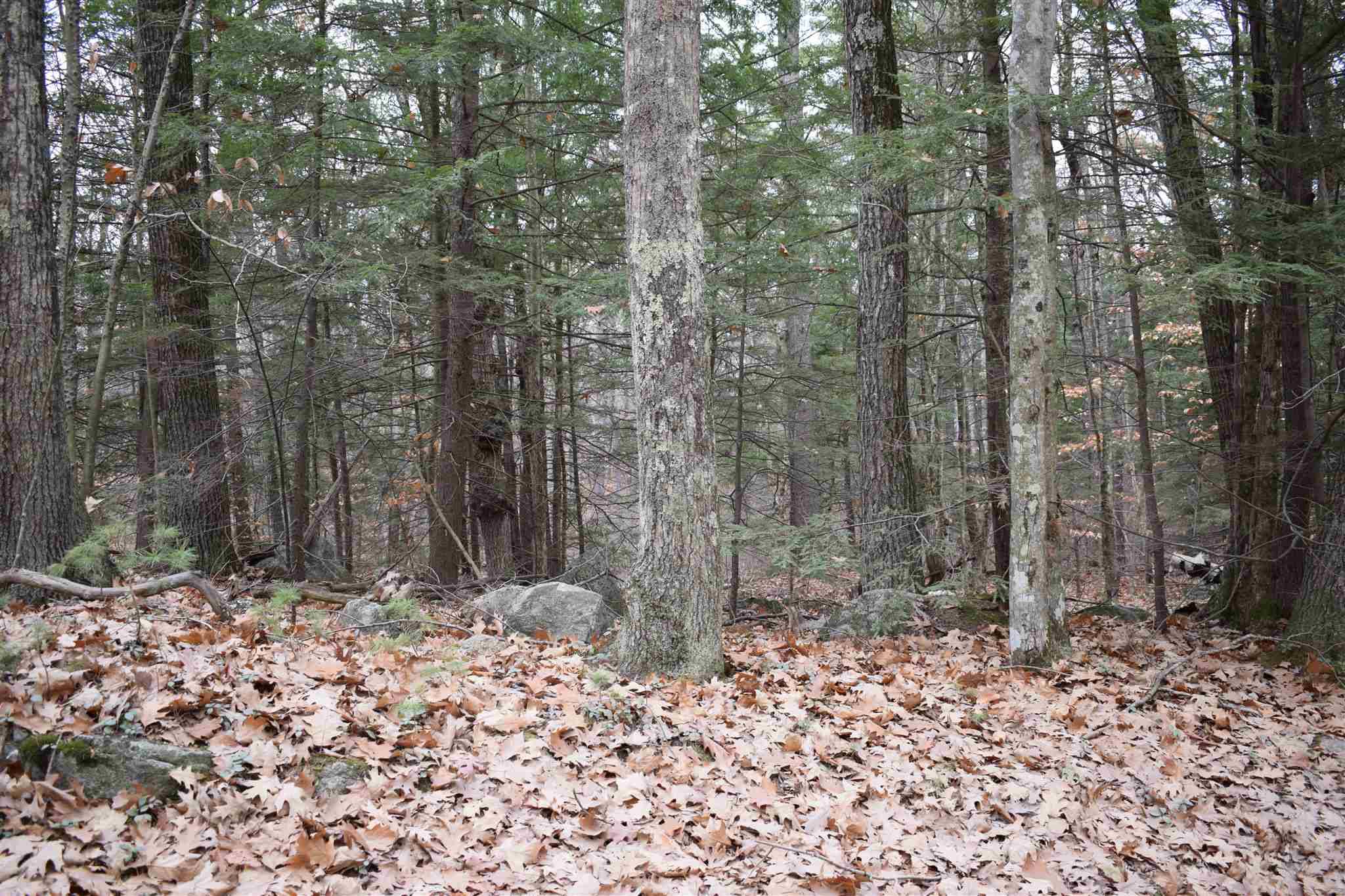 00 Blake RD #4, Moultonborough, NH 03254