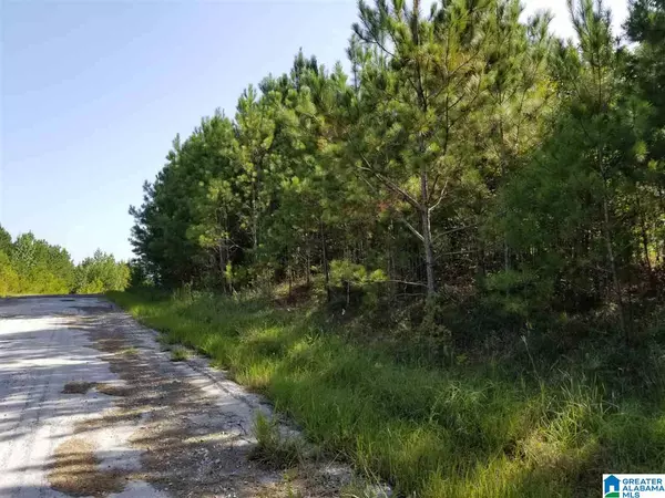 Sylacauga, AL 35151,Lot 232 PRESERVE TRL #Lot 232 - land lot