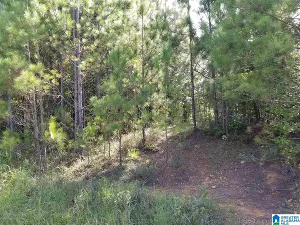 Sylacauga, AL 35151,Lot 232 PRESERVE TRL #Lot 232 - land lot