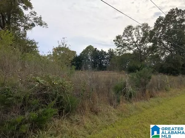 Lincoln, AL 35096,0 HACKNEY ST #8.29 acres