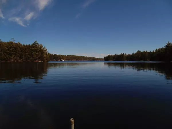 Moultonborough, NH 03254,61 Buzzells Cove RD