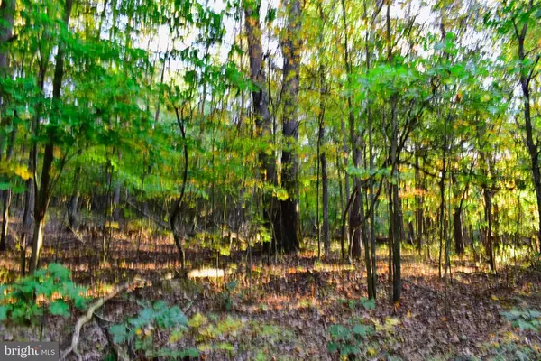 Cross Junction, VA 22625,LOT 4 SMOKEY SHIRE LN