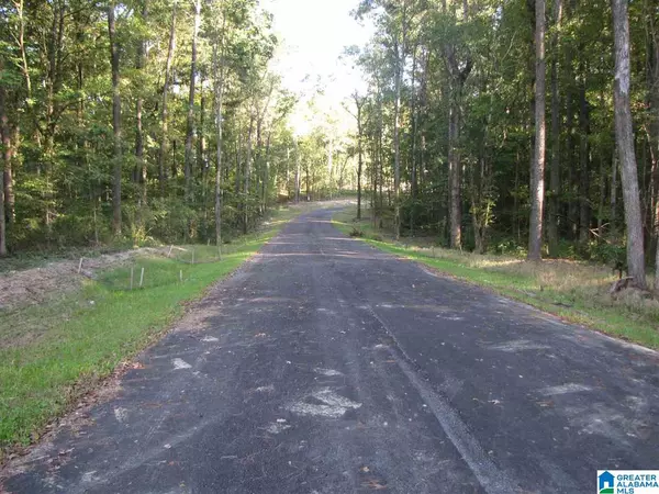 Indian Springs Village, AL 35242,Lot 4 BENT TREE LN #4